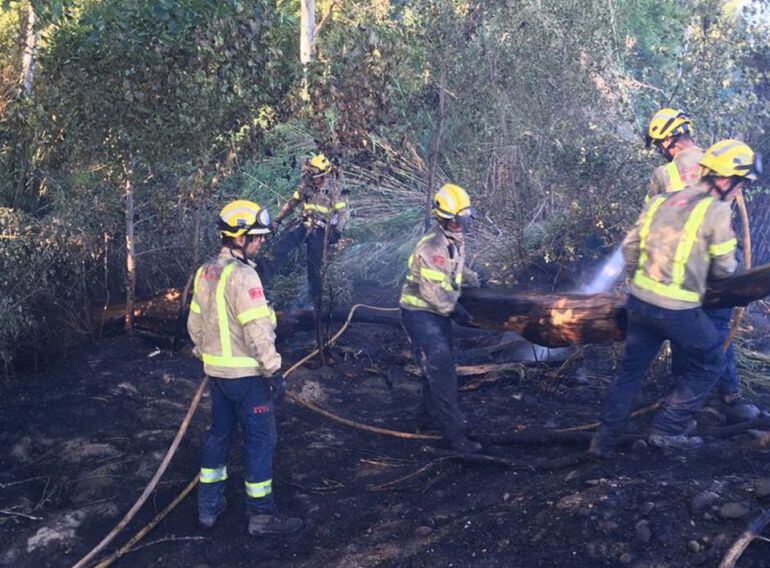 Efectius dels bombers treballant en l'extinció d'un foc a Aitona (Segrià), la setmana passada