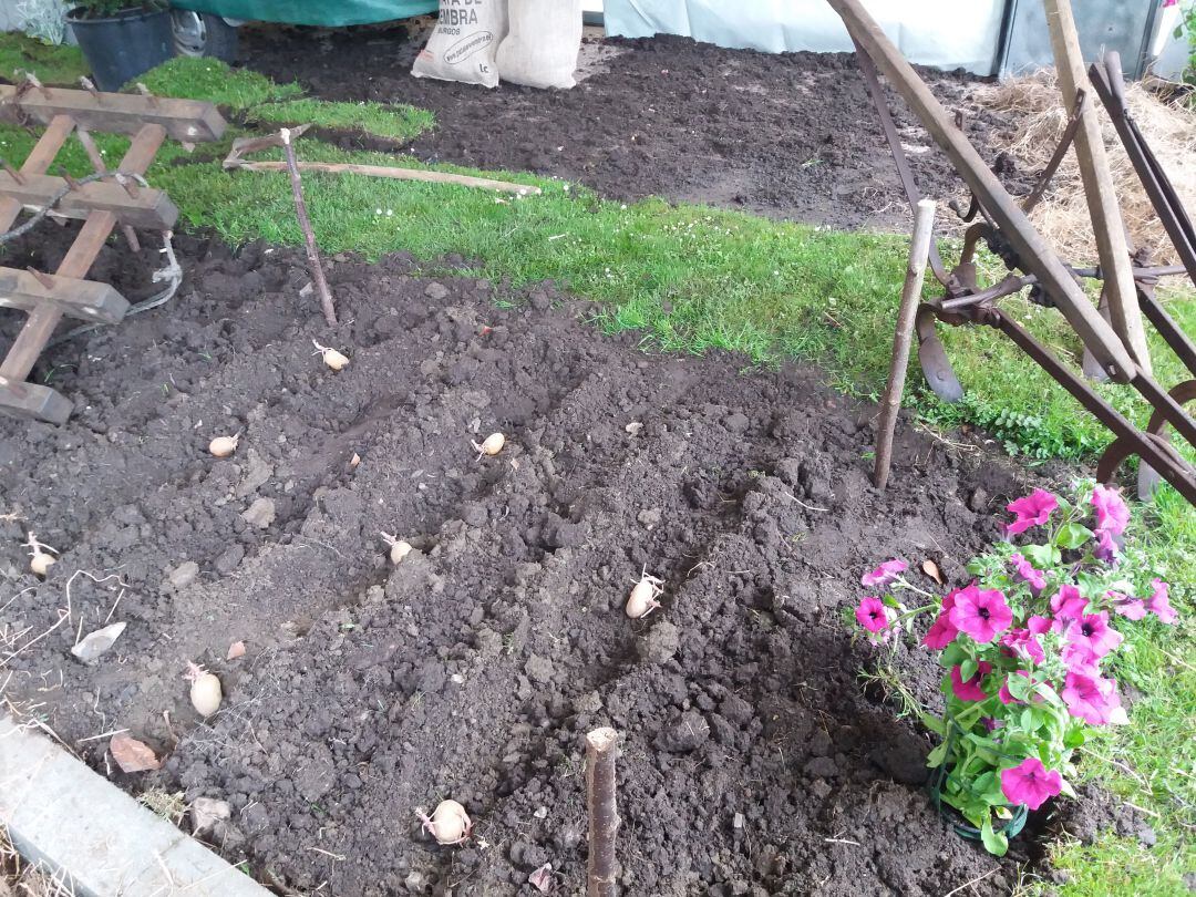 Las exposiciones recogen escenas y tareas relacionadas con el campo asturiano