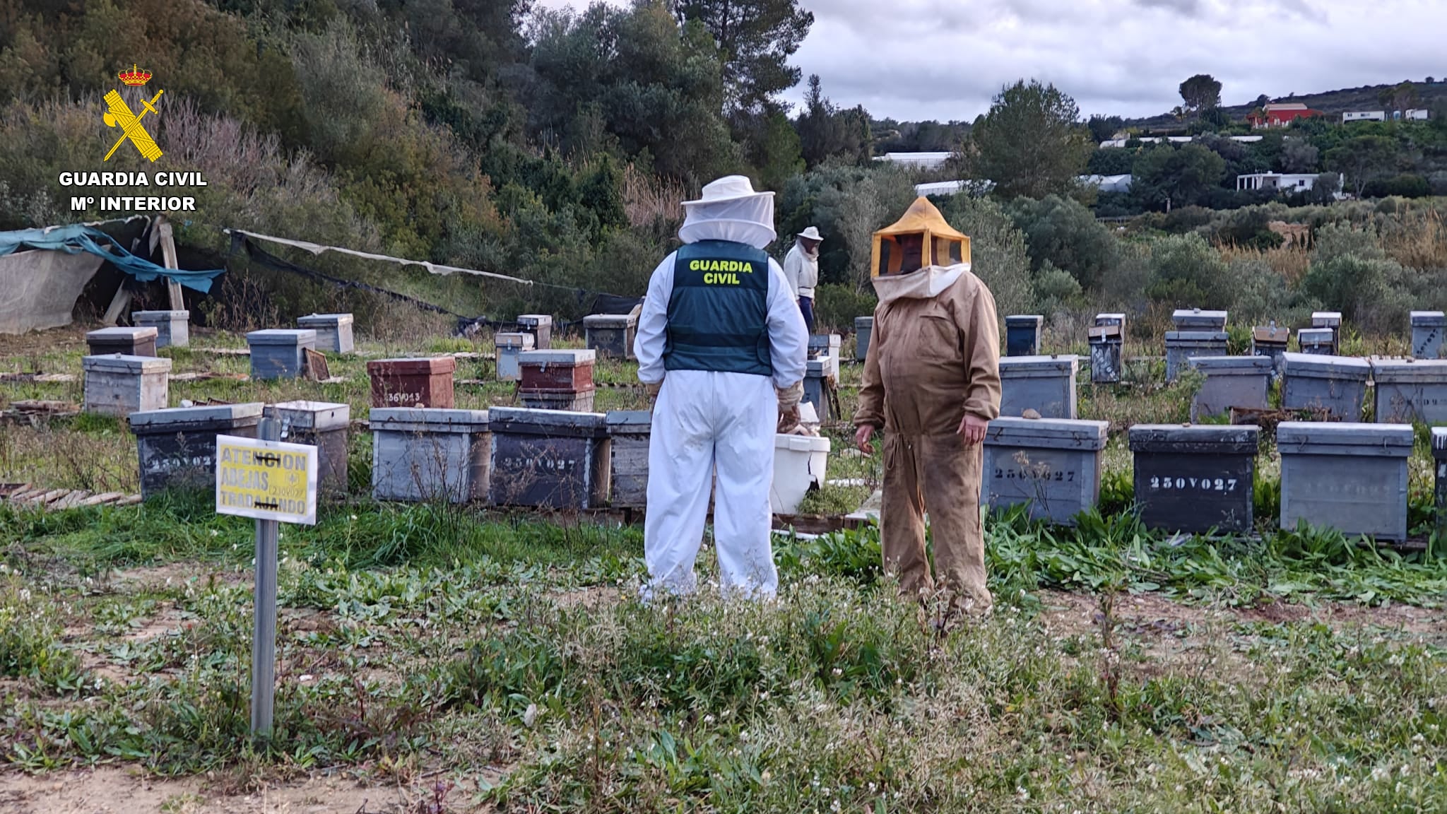 La Guardia Civil detiene a un hombre por robar 112 colmenas de abejas en La Canal de Navarrés con un valor de 10.000 euros