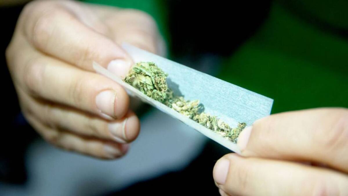 Triora alerta de que el 25% de los adolescentes alicantinos han consumido cannabis alguna vez en su vida