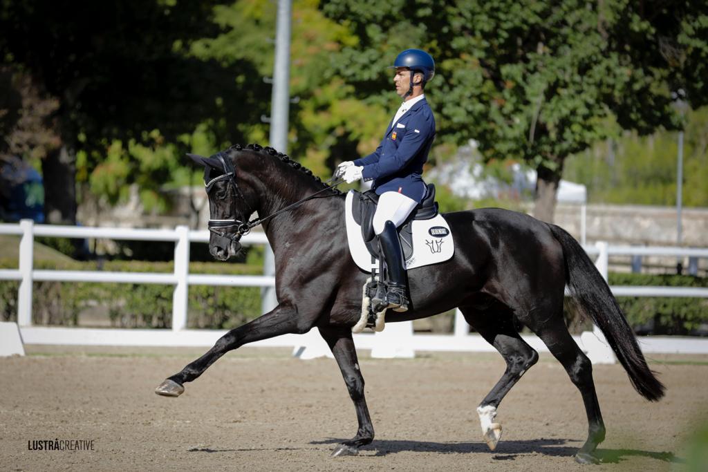 Esta selección se basa en los notables logros obtenidos por el binomio en competiciones internacionales anteriores, así como en su reciente actuación en el Máster de caballos jóvenes del campeonato de España