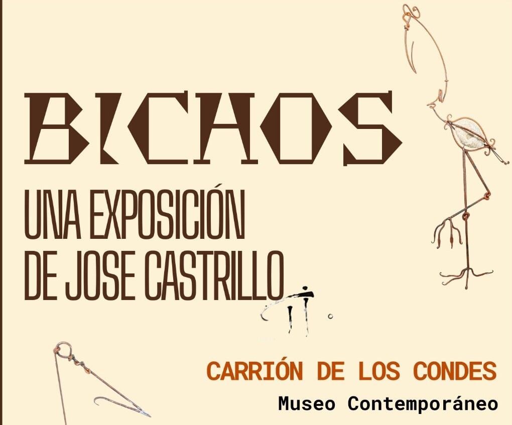 Exposición "Bichos", del artista Jose Castrillo, en el Museo de Arte Contemporáneo de Carrión
