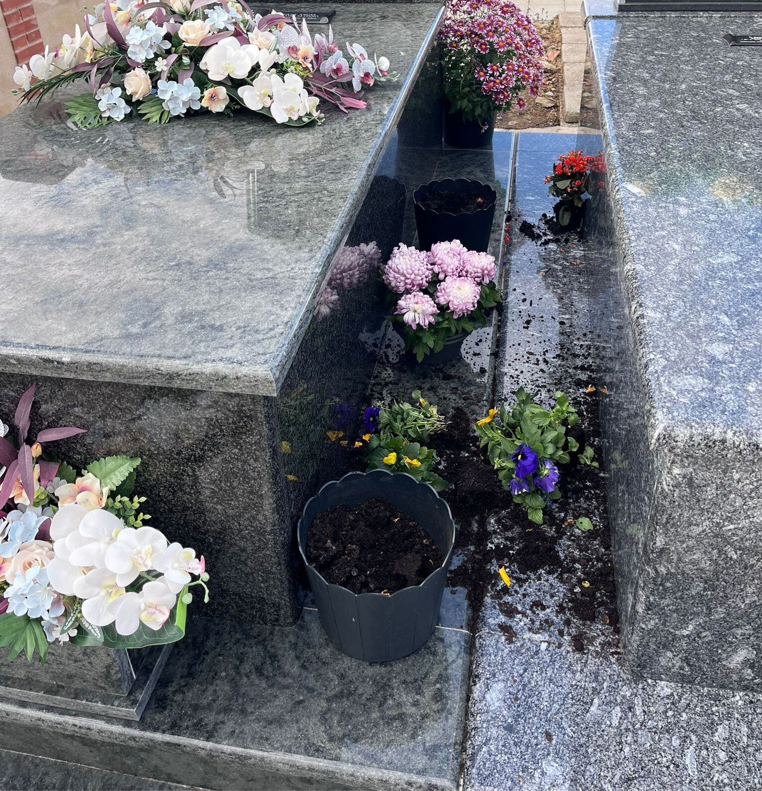 Actos vandálicos en el cementerio de Paredes de Nava (Palencia)
