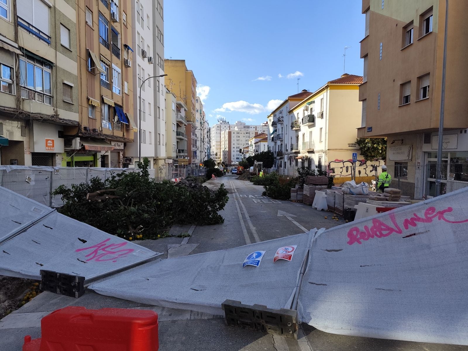 Tala de los árboles en la calle Eugenio Gross de Málaga este miércoles
