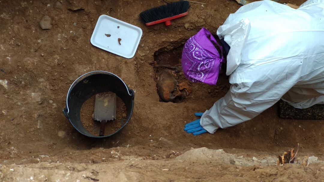 El equipo interviniendo en la fosa ubicada en el cuadro de San Ramón en el cementerio de la Salud 