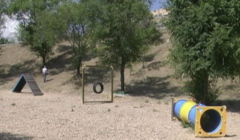 Imágen de un área cánina.