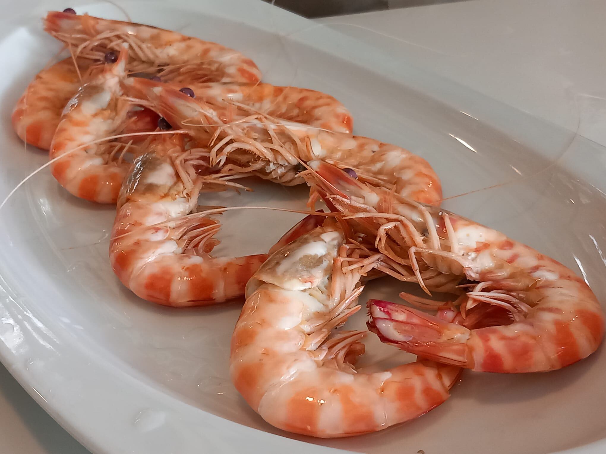 Langostinos de Sanlúcar