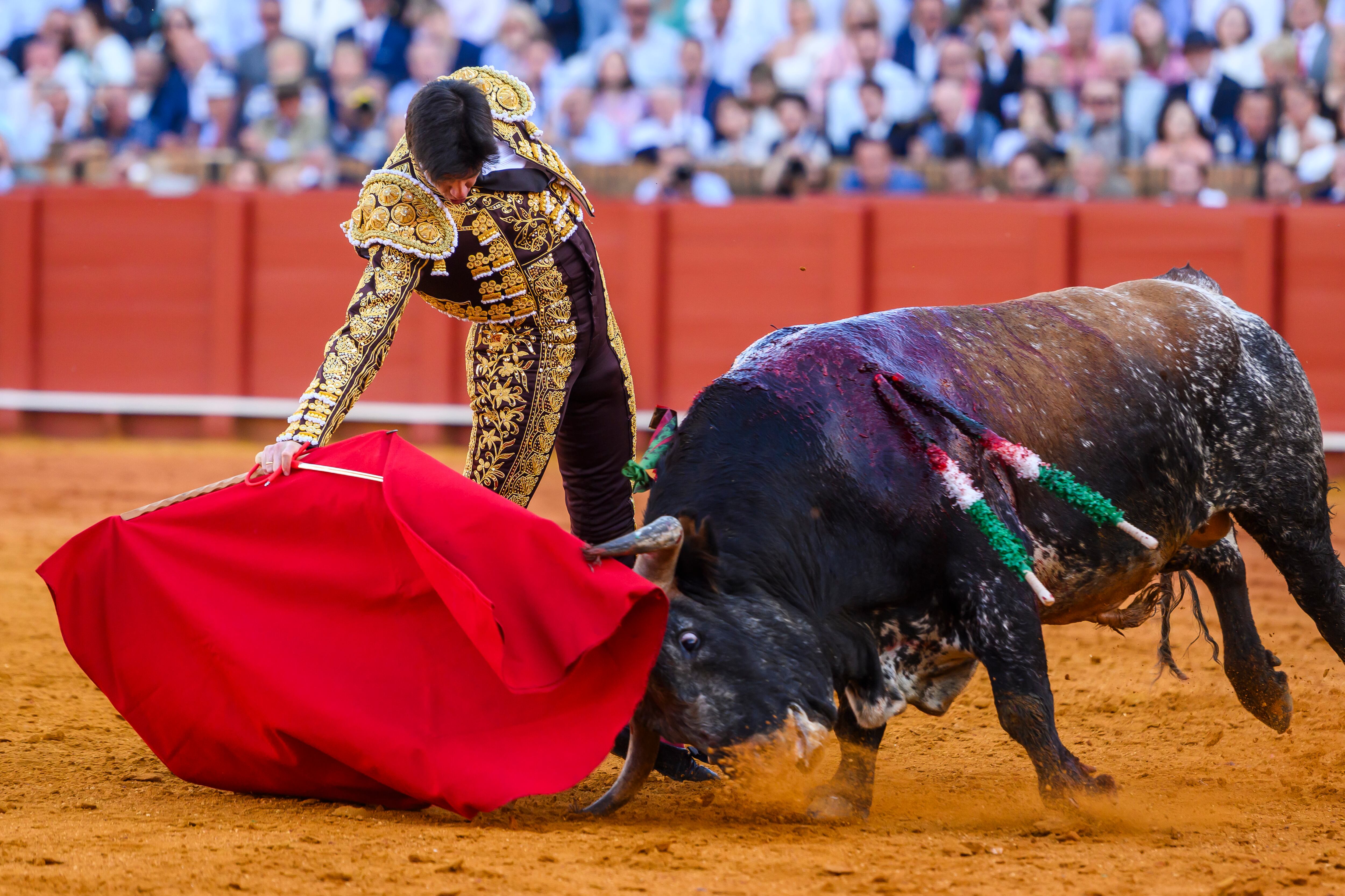 SEVILLA. 11/05/2025. - El diestro Esaú Fernández con el primero de los de su lote, durante el festejo de abono de la Feria de Abril celebrado este domingo en La Real Maestranza en Sevilla. EFE/ Raúl Caro.

