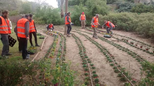 El Ayuntamiento de València oferta cursos de jardinería, arte floral y medio ambiente