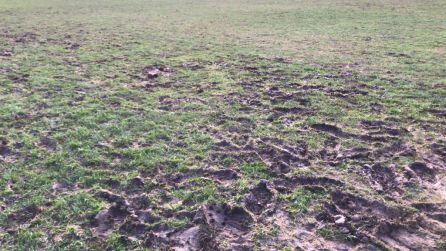 Estado de La Cañada tras el encuentro del aficionado