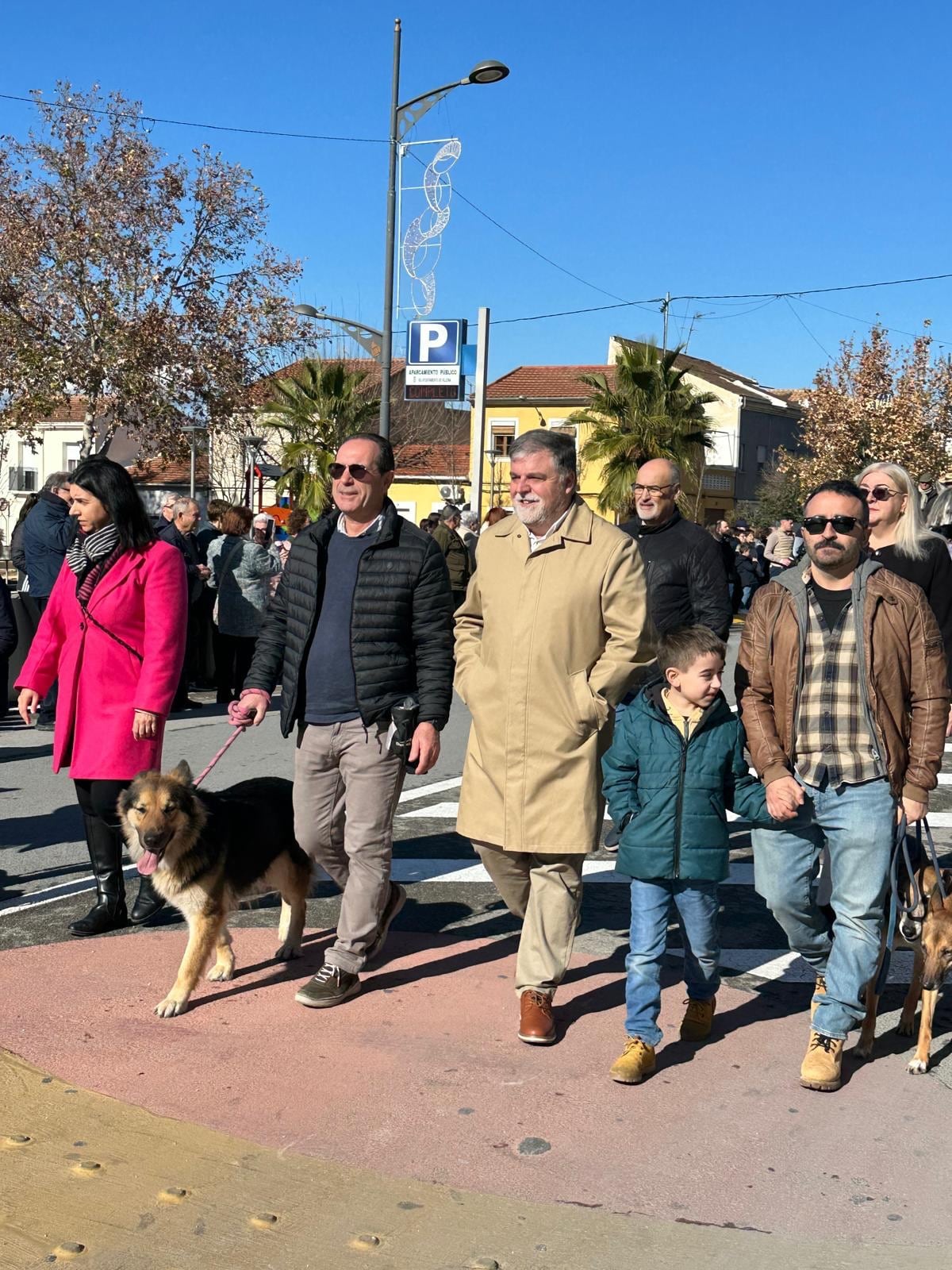 Desfile y bendición animales San Antón Villena