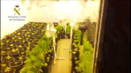 Fotografía de la operación