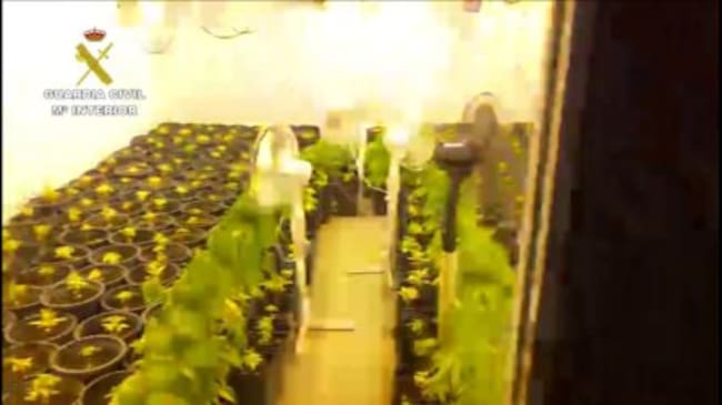 Fotografía de la operación