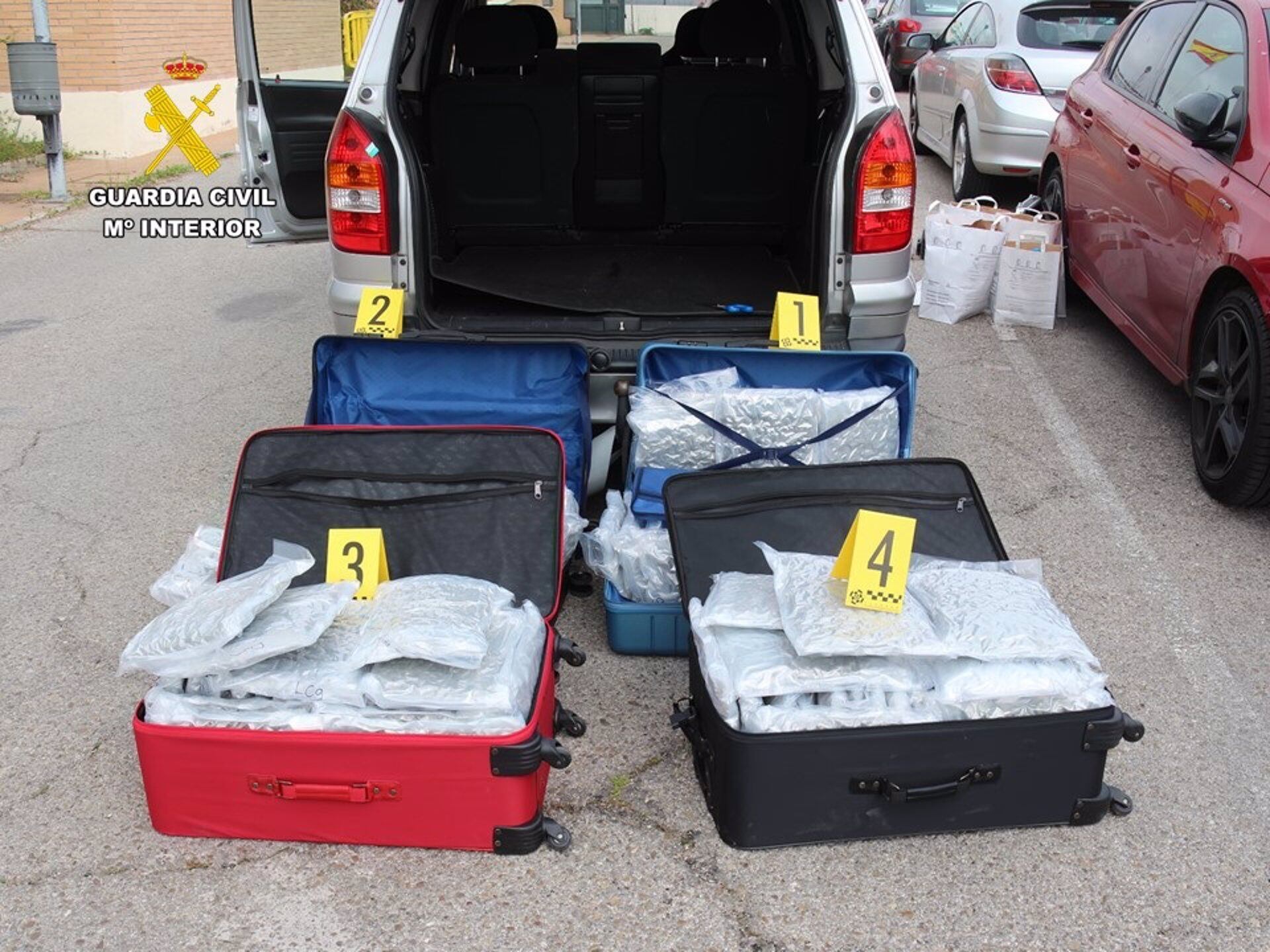 Los 54 kilos de cogollos de marihuana interceptados por la Guardia Civil en la operación Topila