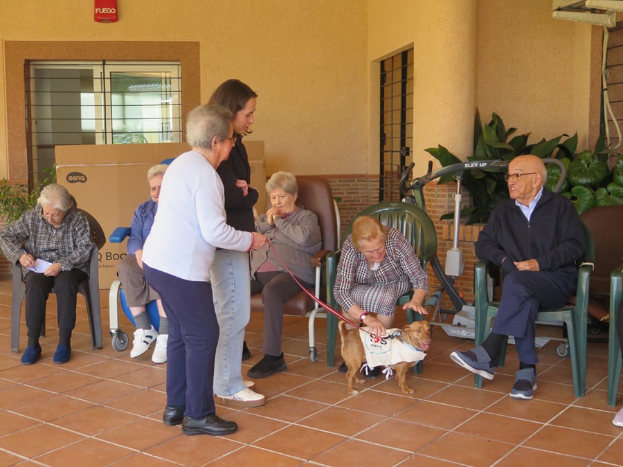 Un momento de la visita