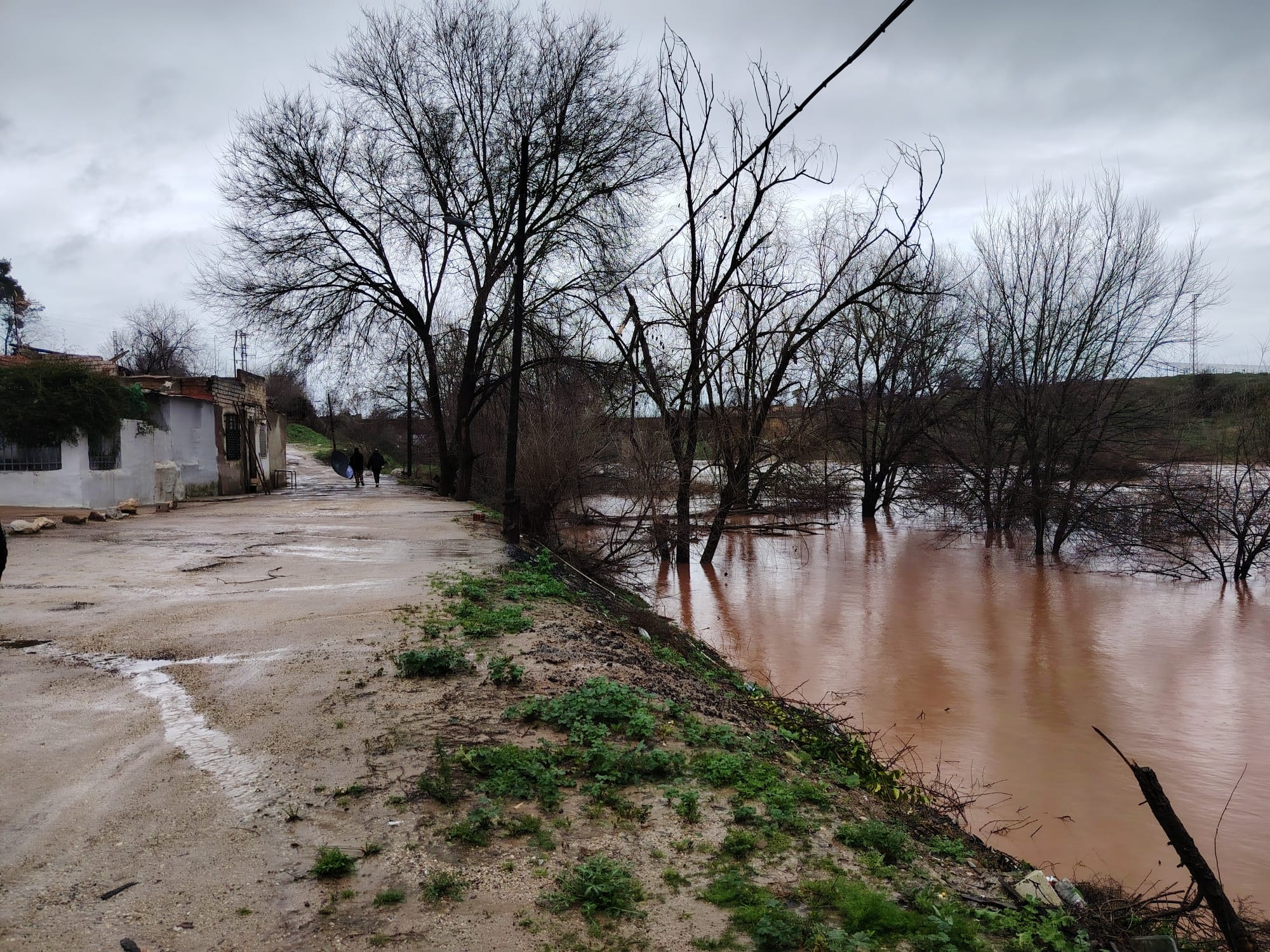 Viviendas próximas al río Guadalimar en la Estación Linares-Baeza