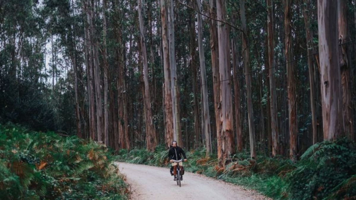 Entrevista con Nicolás Merino