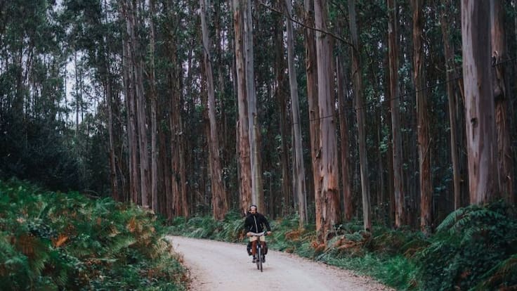 Entrevista con Nicolás Merino