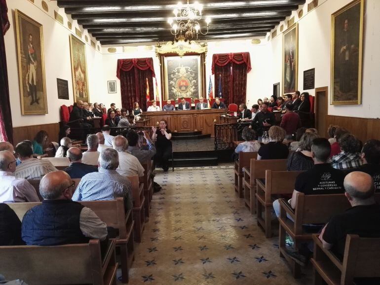 Una imagen del pleno municipal