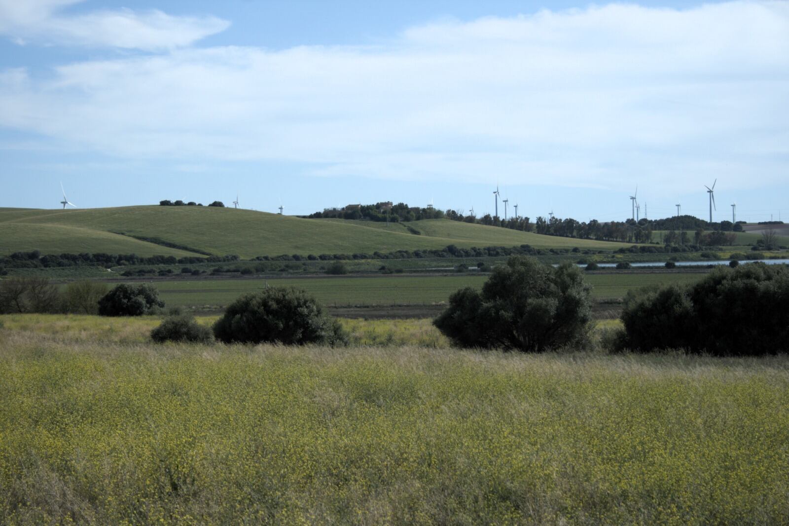 Un "paseíto" por la Vega de Zarandilla y Las Pachecas