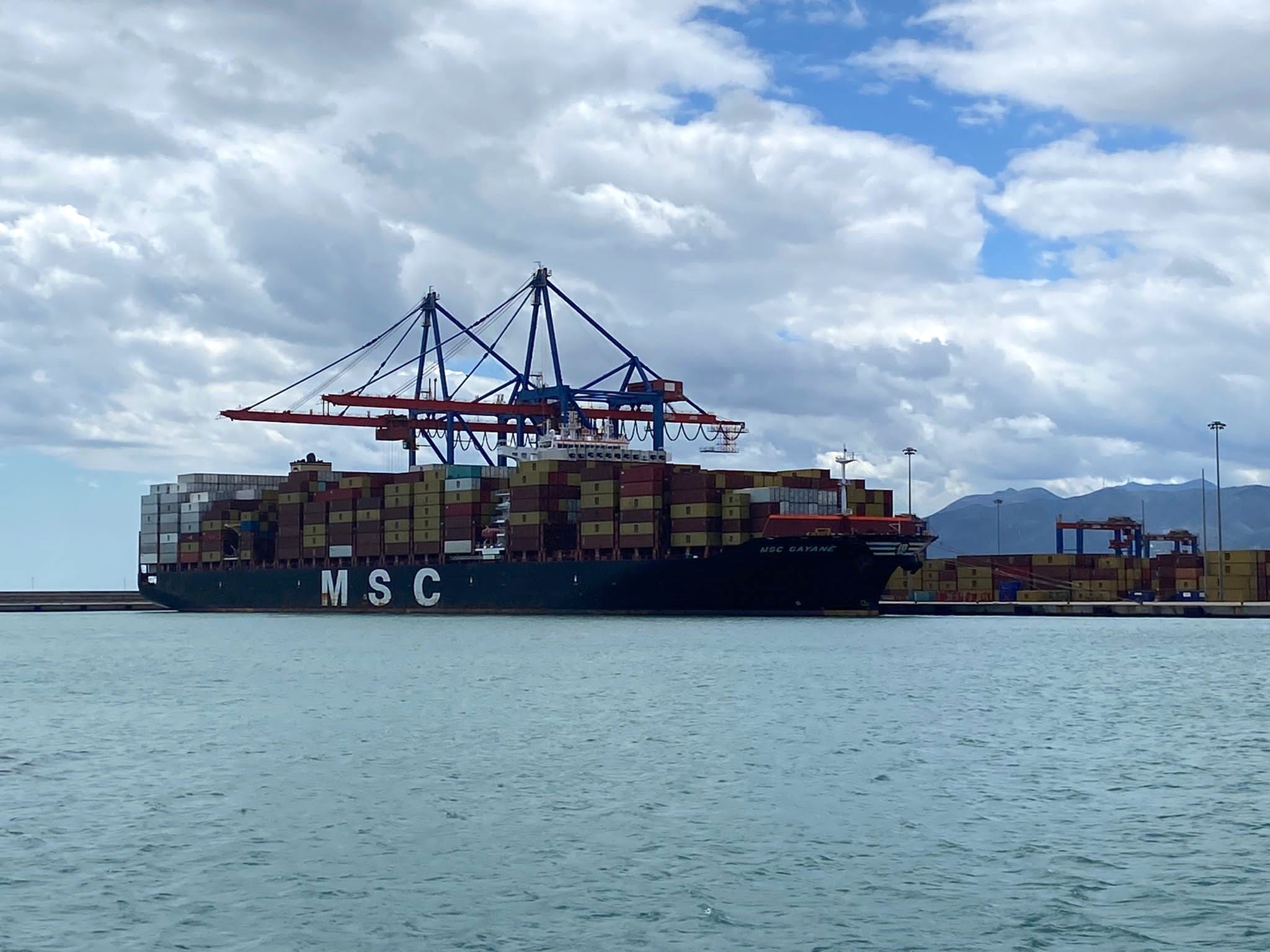 MSC Gayane operando  en el muelle 9 del Puerto de Málaga(Archivo)