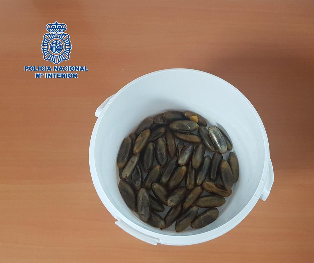 Las bellotas de hachís ingeridas por el detenido.