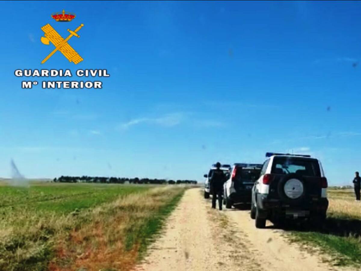 Investigan a nueve personas por caza furtiva en Ávila