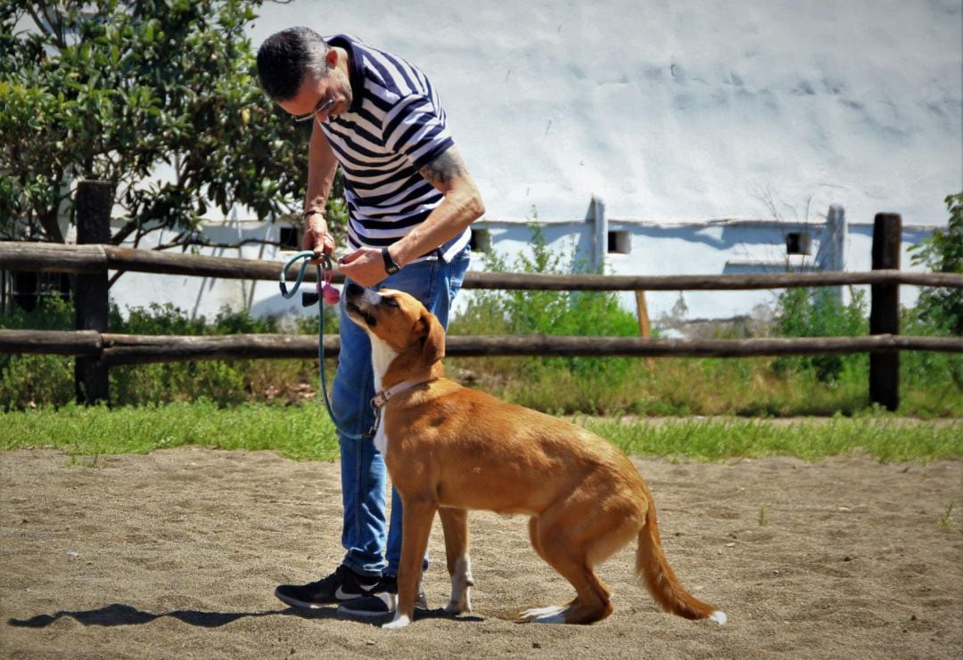 Un guia ensinistrant un gos en una foto cedida pels promotors del projecte K-ANARY