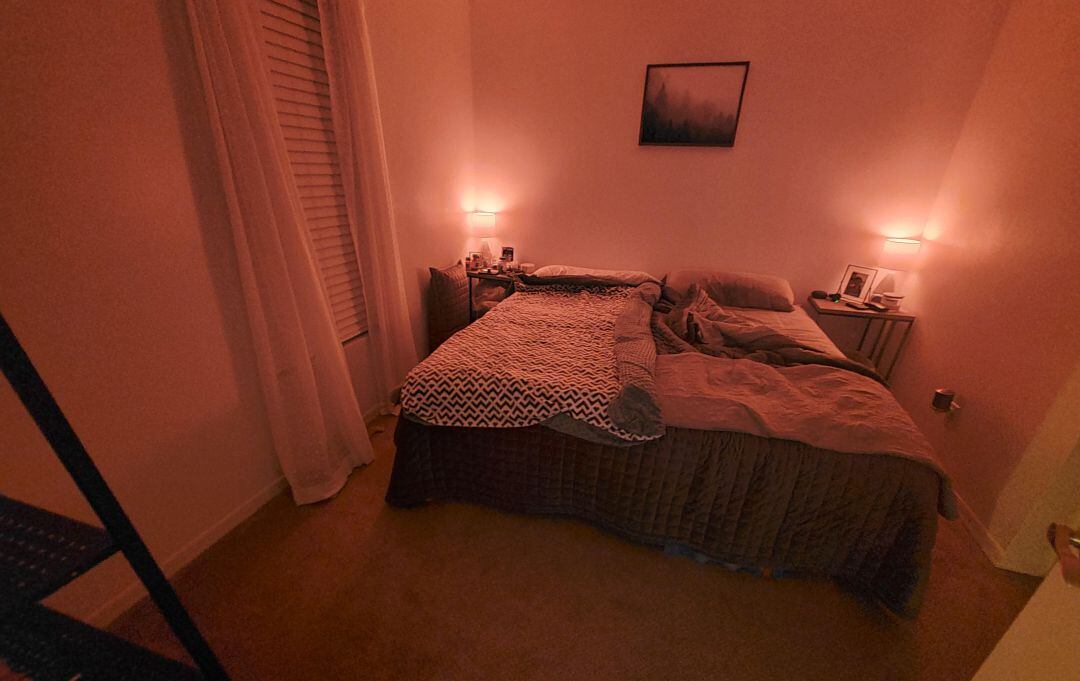 ¿Puedes encontrar al gato oculto en esta imagen?