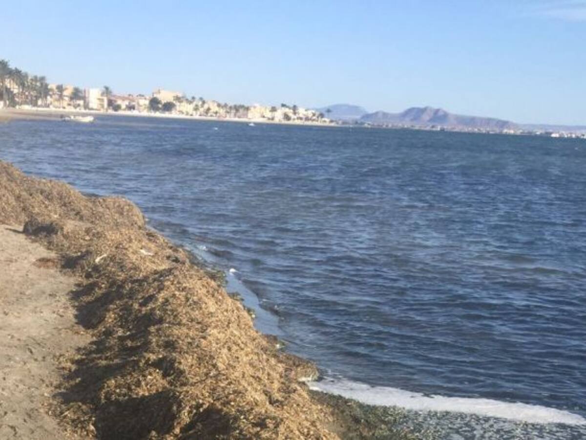 Los vecinos de la zona sur del Mar Menor se vuelven a manifestar este sábado