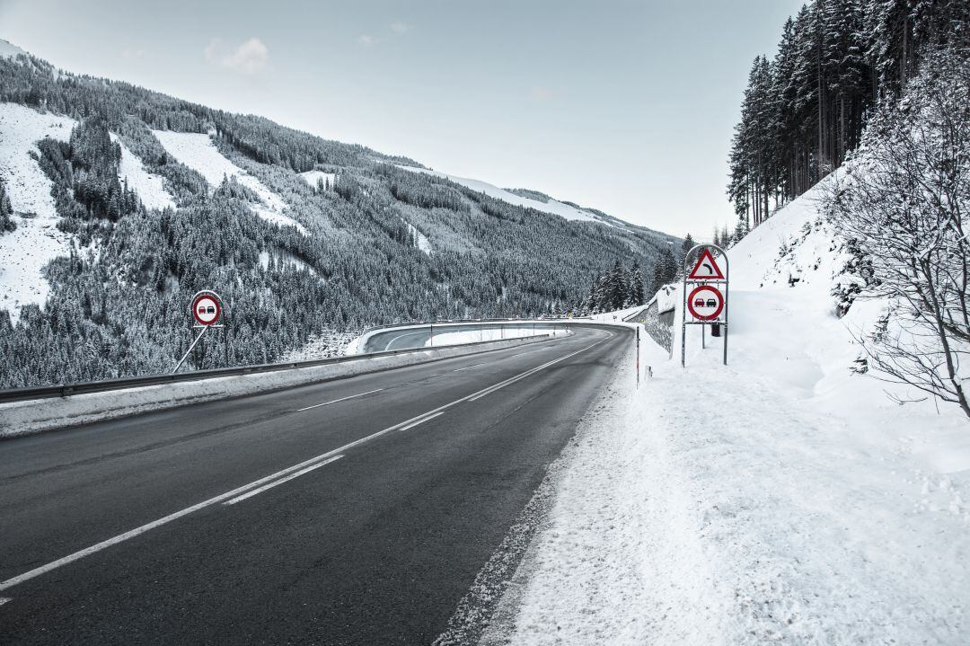 La nieve no ha causado importantes problemas a agricultura y ganadería en la provincia