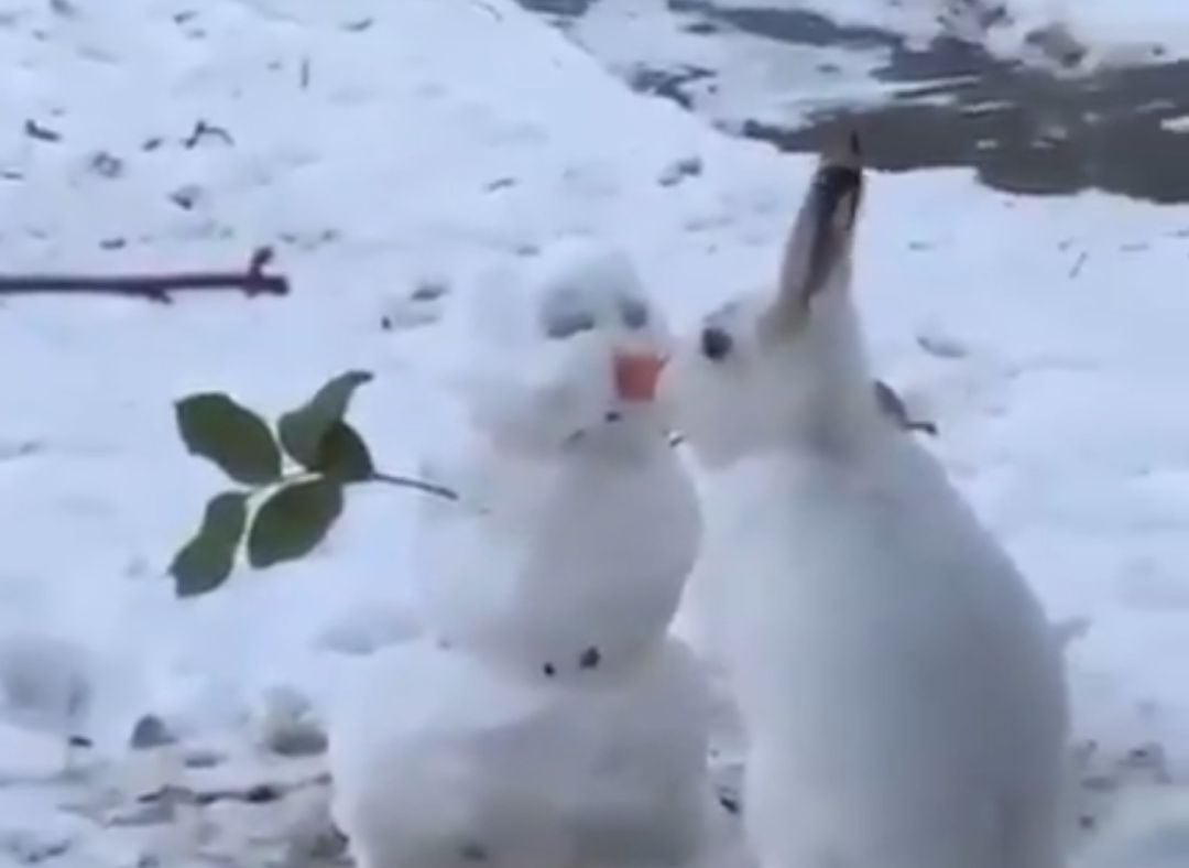 Fotograma del vídeo que circula en redes.