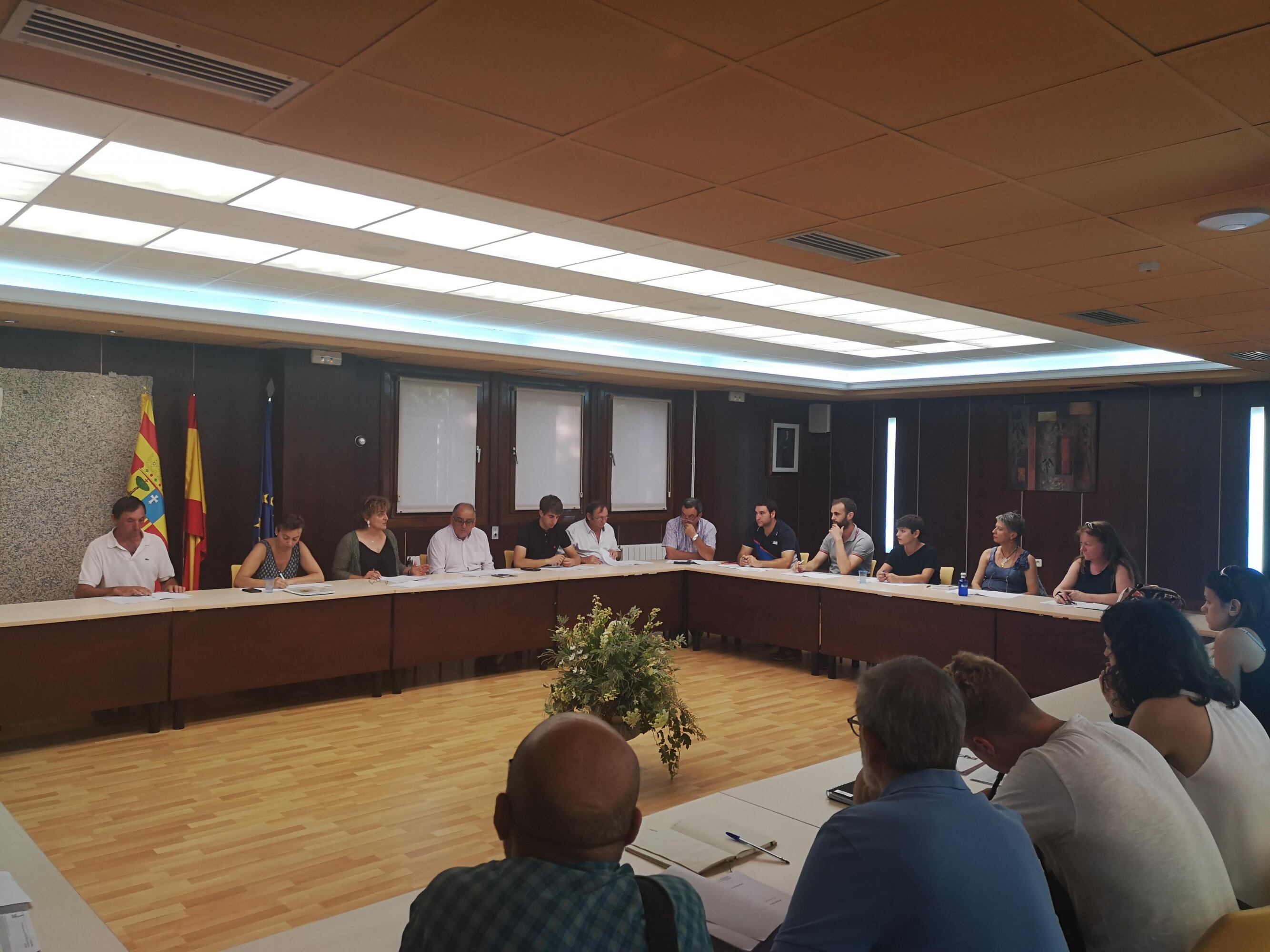 Pleno de la Comarca de la Jacetania de 2020