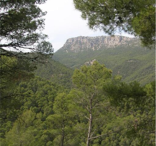 Paisaje en una zona montañosa