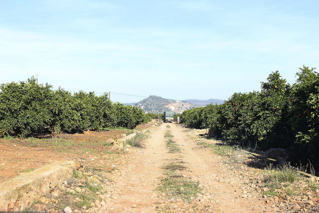 Huerto provincia de Castellón