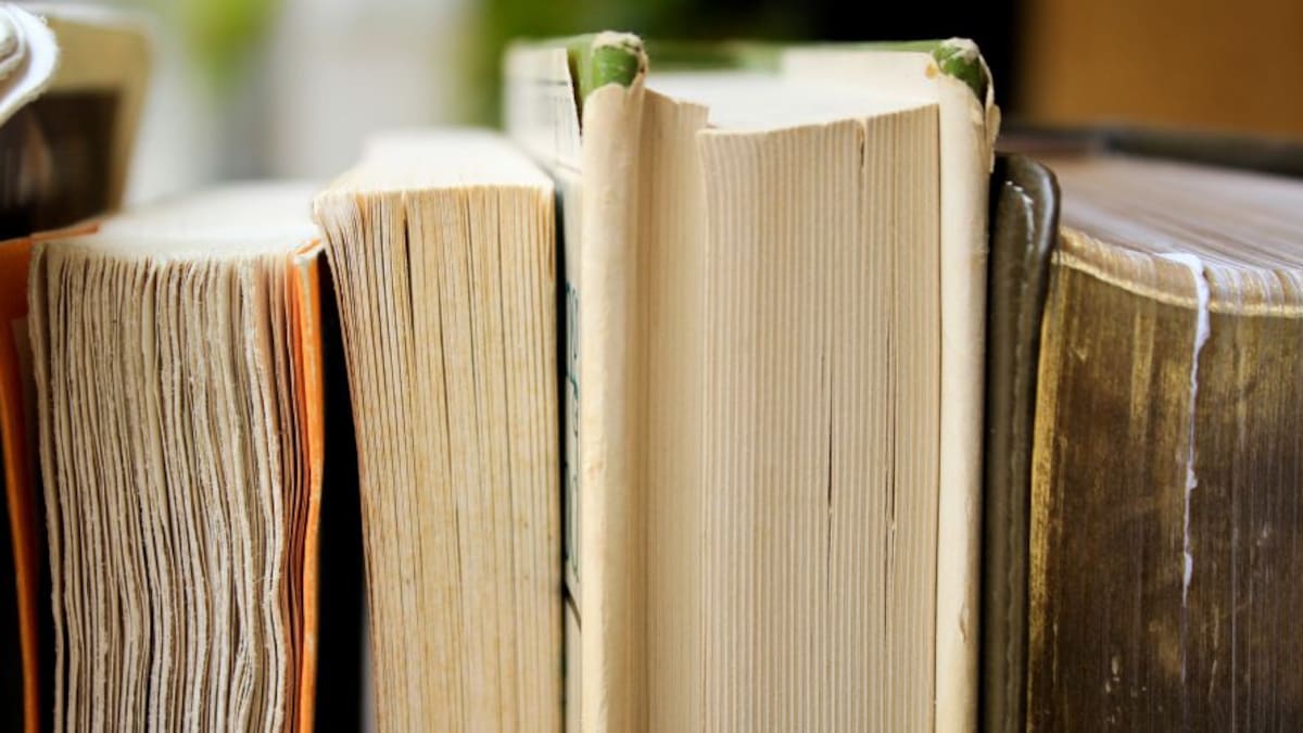 Abierto el plazo de presentación de obras para el XXXI Concurso Anual de Literatura para Escritores Noveles