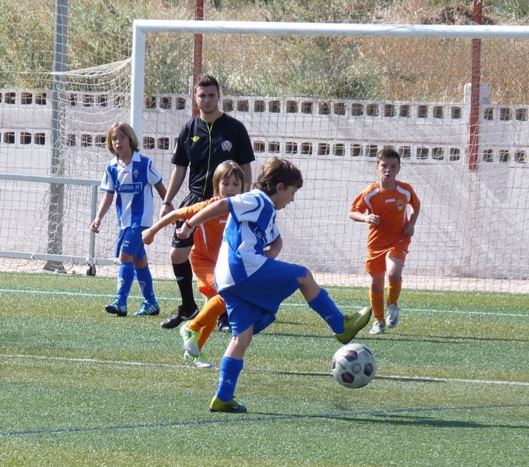 La FFCV pide el regreso de la competición a partir del lunes 15 de marzo