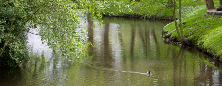 Río Bolaños en Arteixo