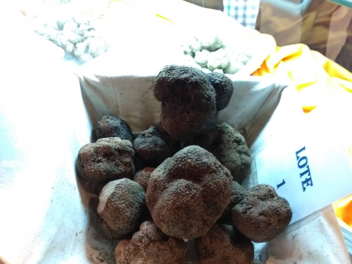 Sábado con aroma y sabor a trufa en Graus