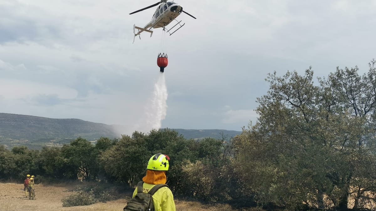 Un incendio quema media hectárea de encinar en El Grado