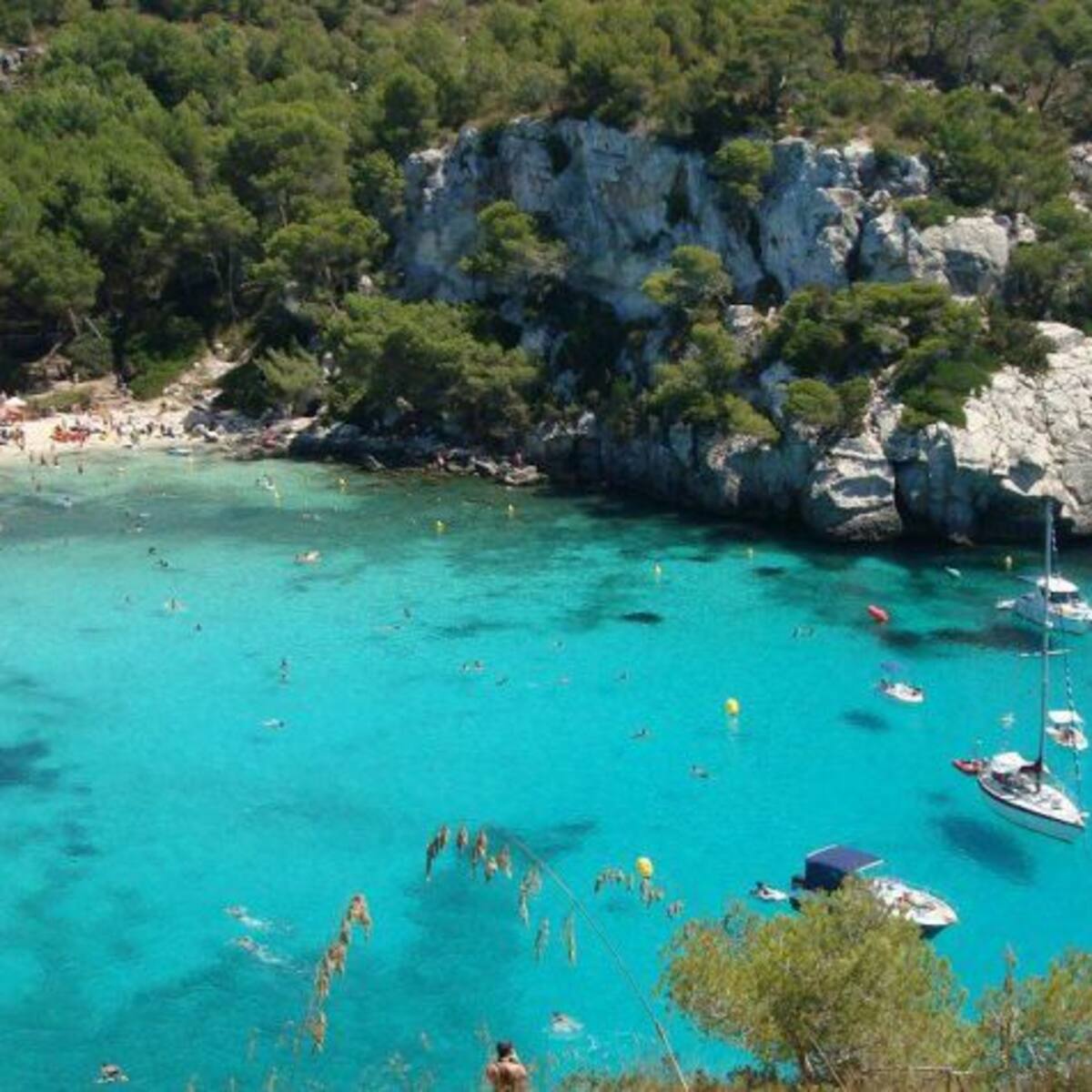 El bus Ciutadella-Macarella empezará el 14 de mayo