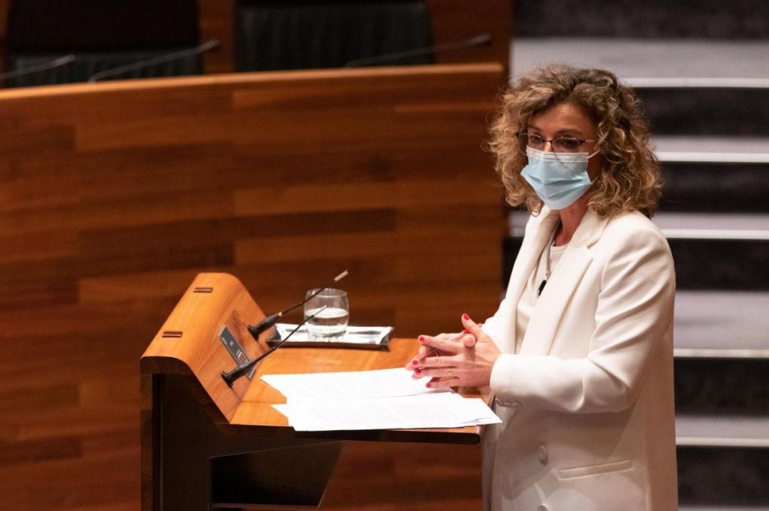 La portavoz del grupo parlamentario, Susana Fernández, durante el debate.