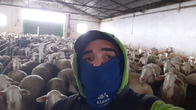 Jose Luis, ganadero de Carrión de Calatrava, junto a su rebaño de  600 ovejas, a cubierto, en el establo, para protegerlas del temporal