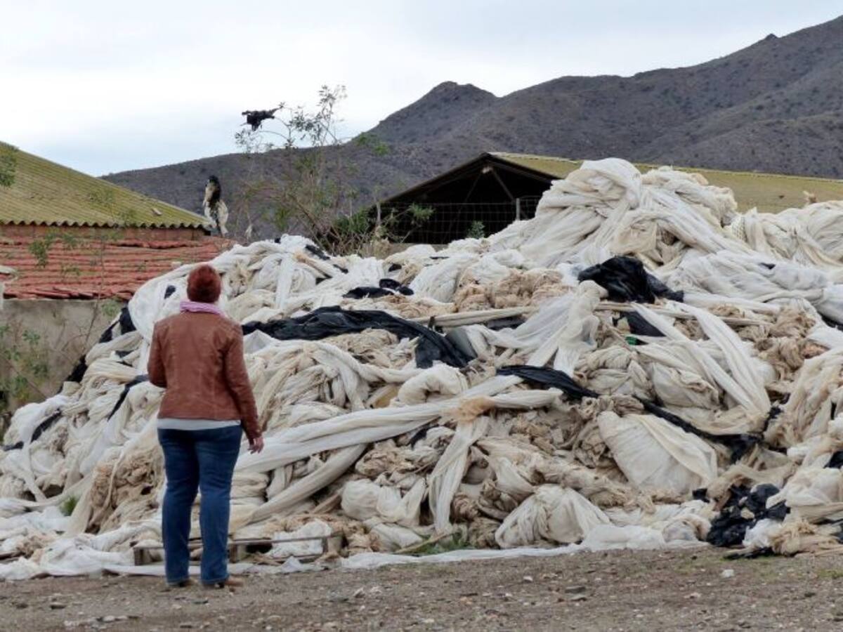 IU-V exige mano dura contra los agricultores irresponsables