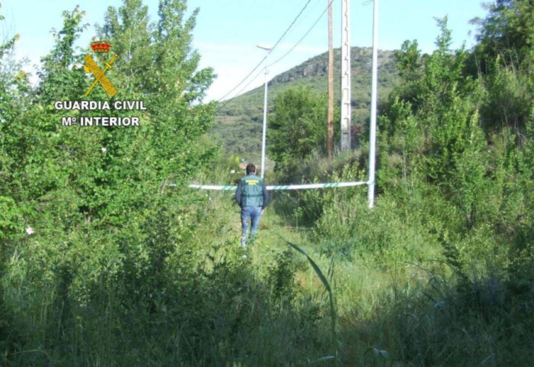 El suceso tuvo lugar en 2020 en las inmediaciones de un sendero en Borrenes