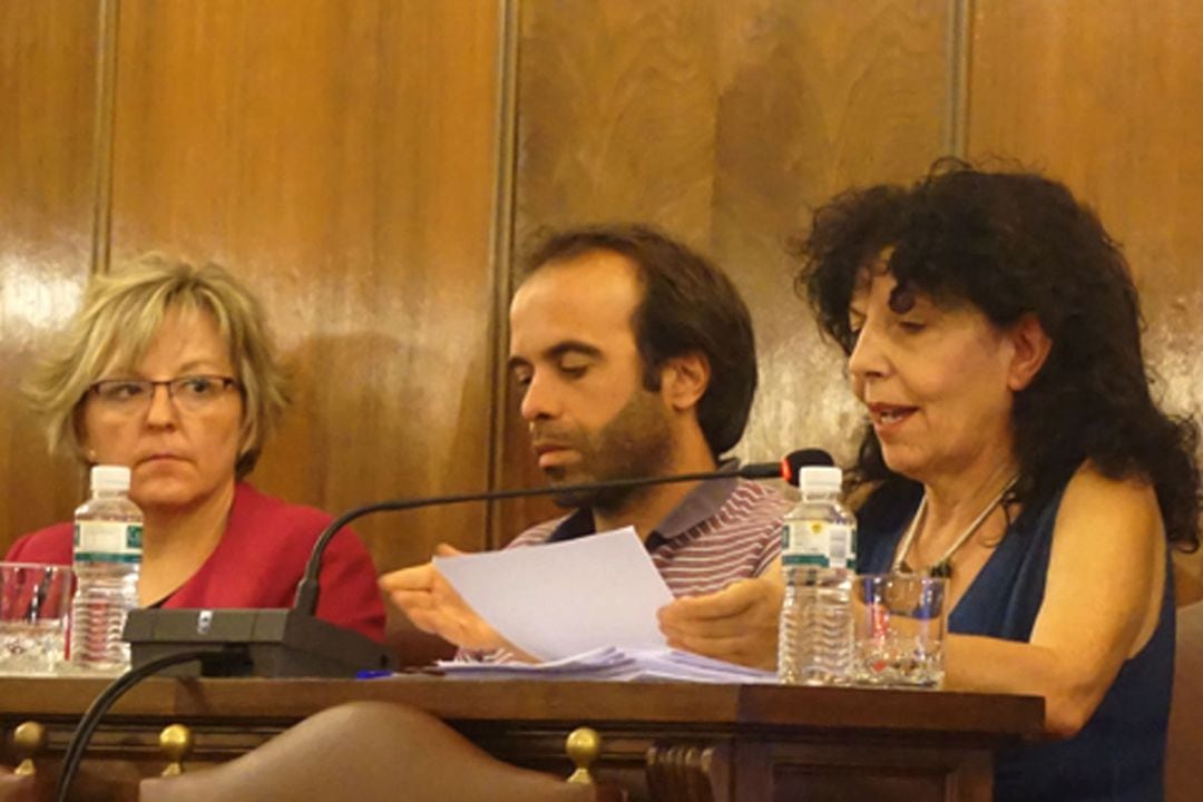 La portavoz de IU en la Diputación Provincial interviene en el pleno