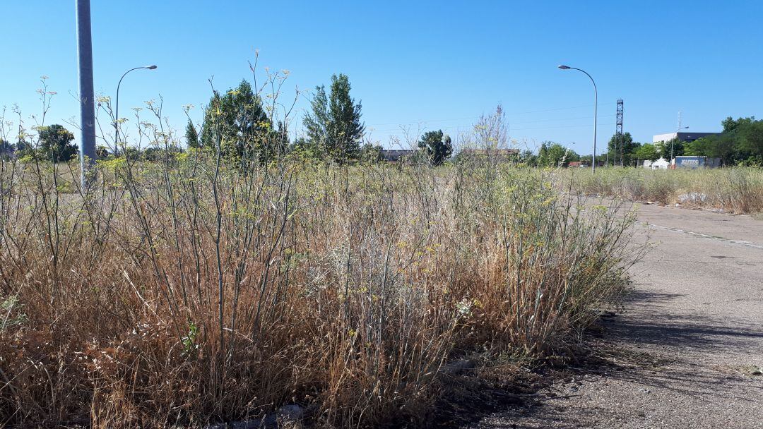 Los terrenos del barrio de la Estación en los que se construirá el futuro Hospital son un campo de abundante vegetación en la actualidad