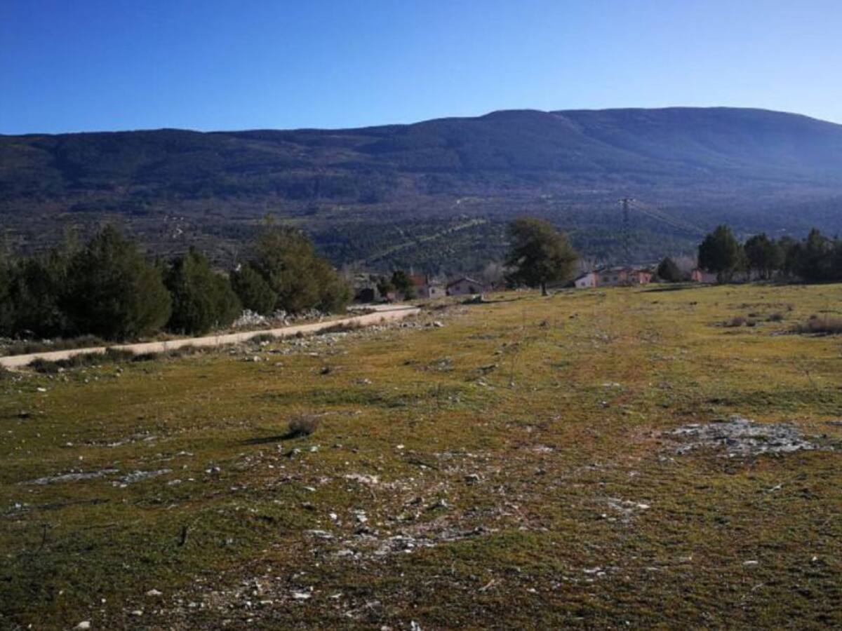 Las temperaturas podrían superar los 30 grados la próxima semana