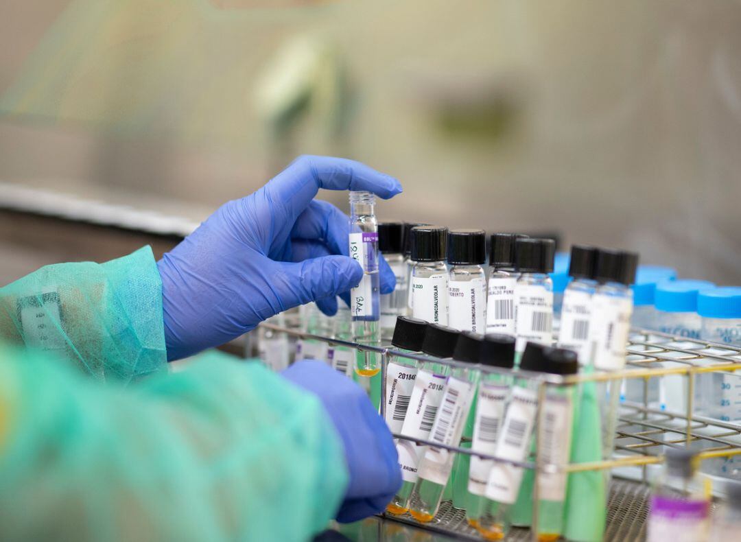 Dos fallecidos más en la Región en las últimas 24 horas