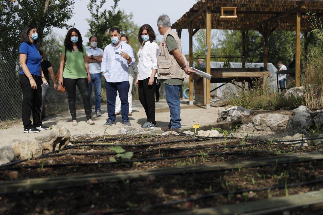 La presidenta de la Comunidad, Isabel Díaz Ayuso, presenta el proyecto 'Madrid en verde'